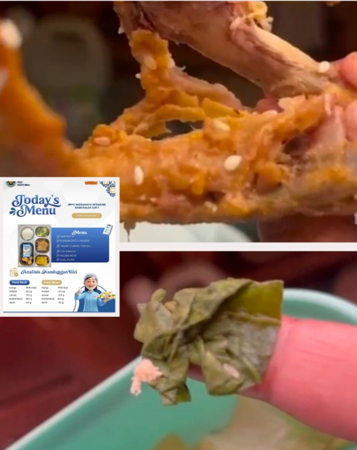Geger! Menu Makan Bergizi Gratis di Bangkaloa Ilir Diduga Berisi Telur Lalat, Izin Sanitasinya Dipertanyakan