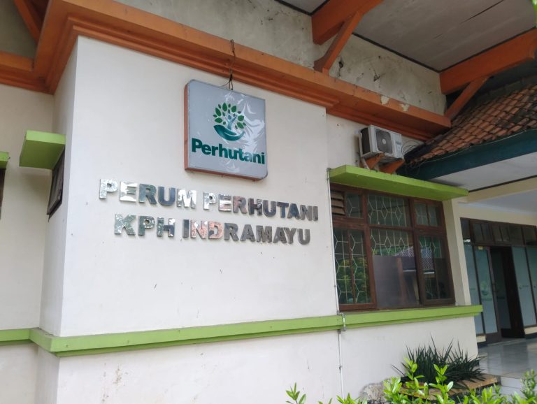 Dugaan Penyerobotan Lahan Perhutani Cikawung, Nama Anak Pejabat Terseret